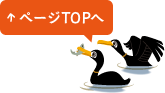 ページTOPへ