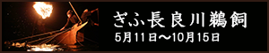 ぎふ長良川鵜飼